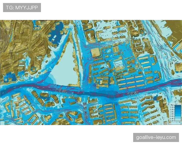 沙勒罗瓦中路渗透加剧交通压力：城市治理面临新考验