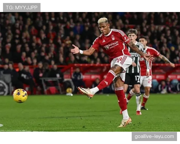 英超森林足总杯 英超森林足总杯