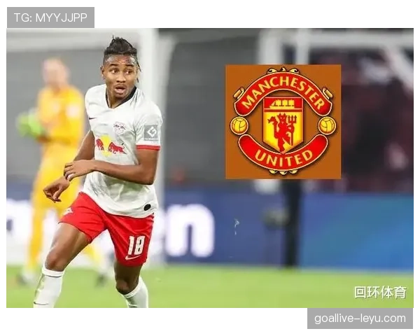 恩昆库前场自由人角色的多位置适配性分析